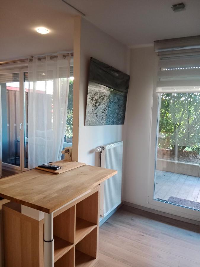 Tres Bel Appartement Rez De Jardin Appart De 53M2. Pfastatt Bagian luar foto